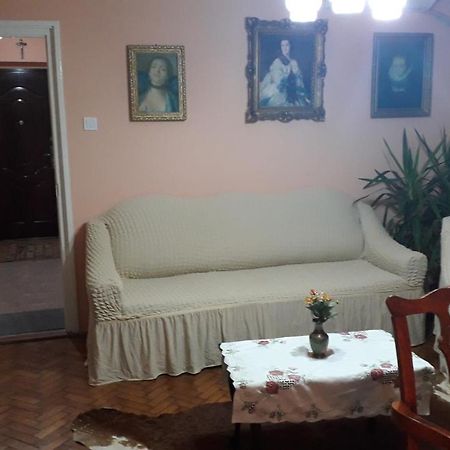 Cozy, Central 1-Bedroom Apartment In Timisoara, Romania 외부 사진