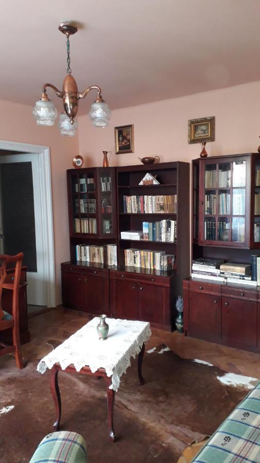 Cozy, Central 1-Bedroom Apartment In Timisoara, Romania 외부 사진