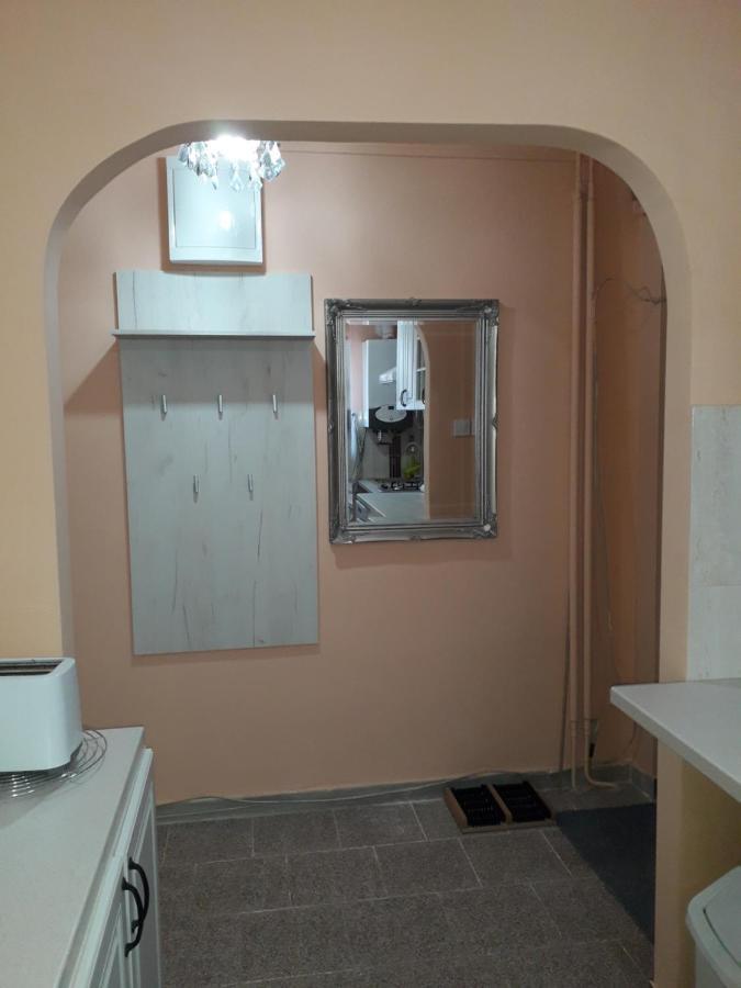 Cozy, Central 1-Bedroom Apartment In Timisoara, Romania 외부 사진