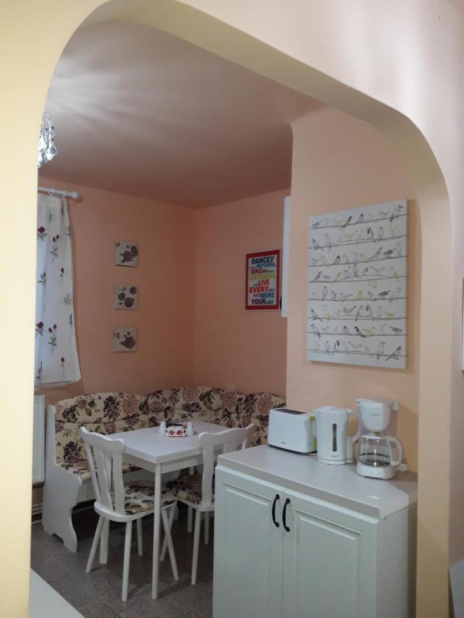 Cozy, Central 1-Bedroom Apartment In Timisoara, Romania 외부 사진