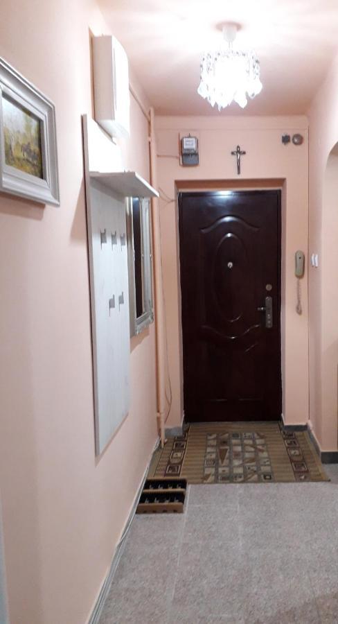 Cozy, Central 1-Bedroom Apartment In Timisoara, Romania 외부 사진