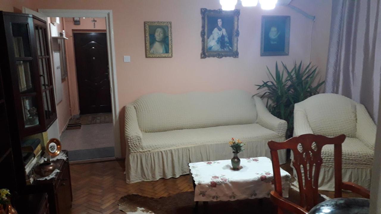 Cozy, Central 1-Bedroom Apartment In Timisoara, Romania 외부 사진